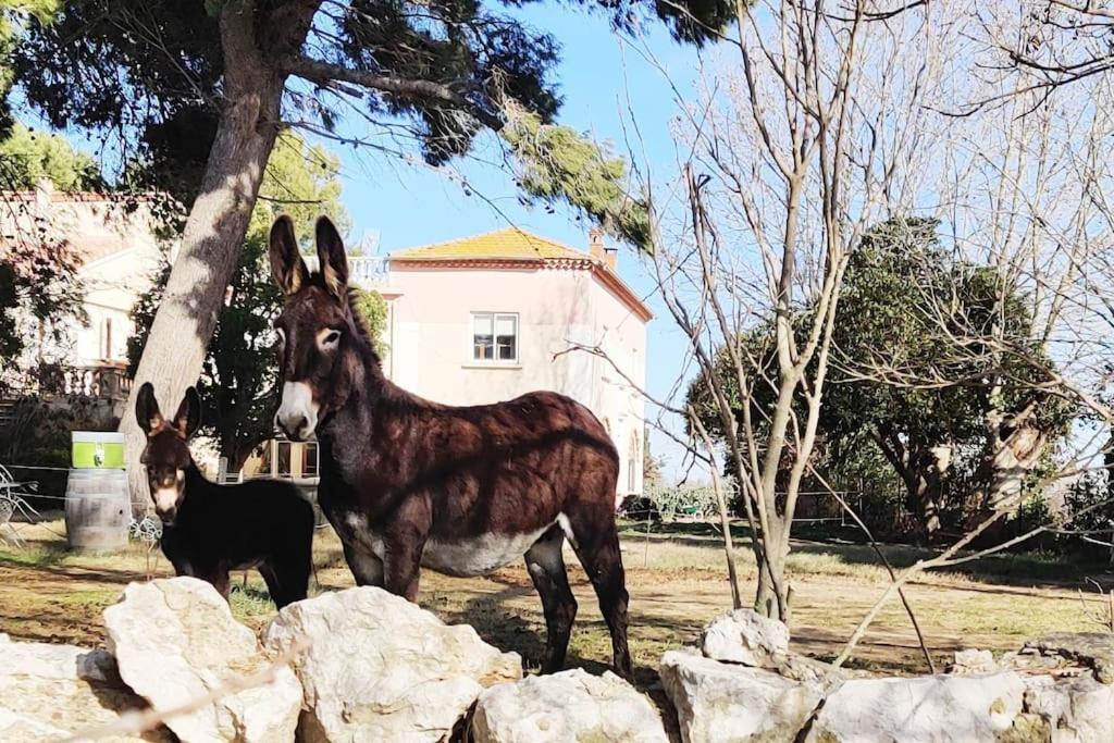 Au Coeur De La Nature Coursan エクステリア 写真